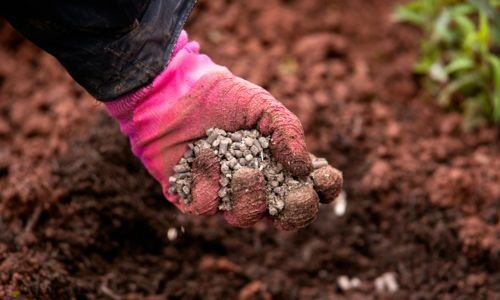 Fertilizer Use