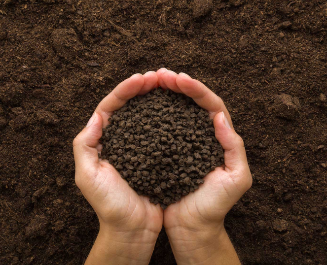 organic-chicken-manure-blog