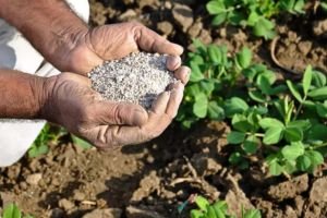 Soil Health